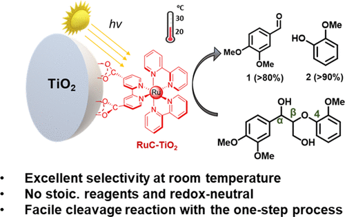 images_medium_an1c03622_0010