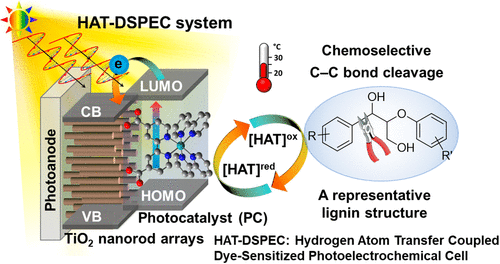 images_medium_cs1c00198_0008