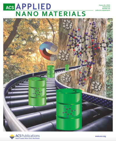 cover artwork-ACS ANM